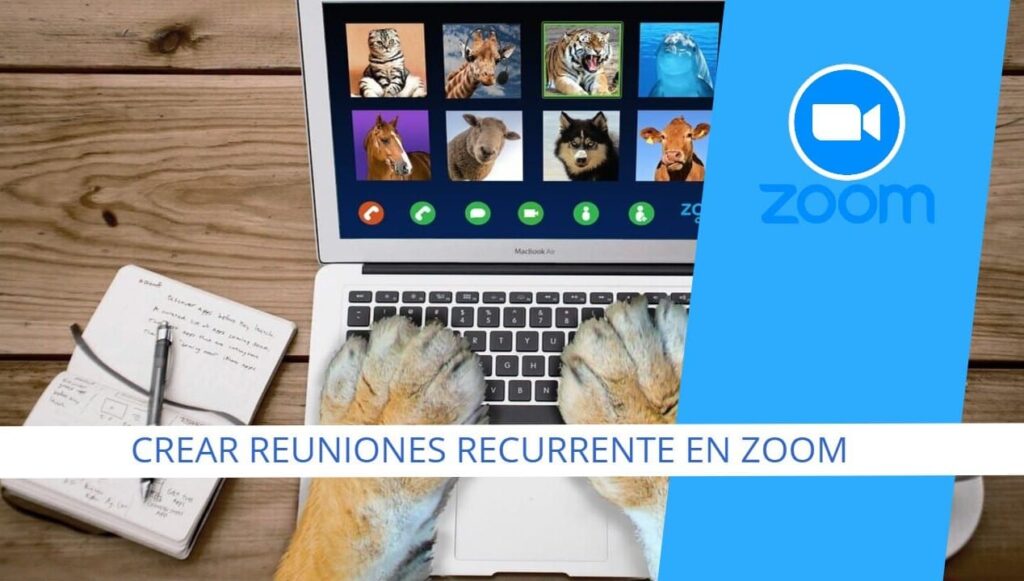 Cómo PROGRAMAR Reuniones RECURRENTES en Zoom: Tutorial FÁCIL para Docentes y Eventos 📅