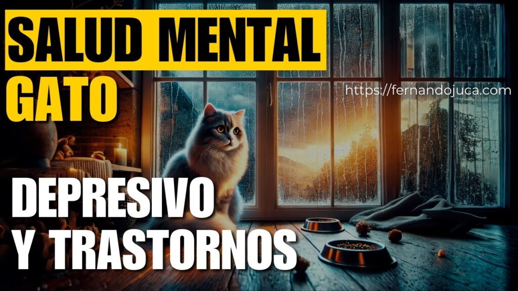 La salud mental de los gatos: Depresión y otros trastornos felinos explicados