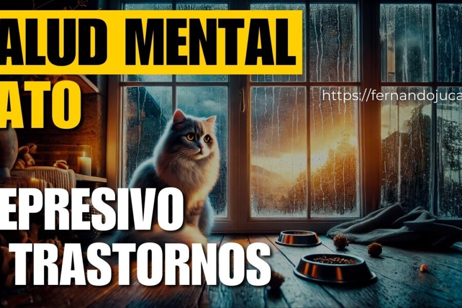 La salud mental de los gatos: Depresión y otros trastornos felinos explicados