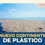 El Séptimo Continente: la gigantesca isla de plástico en el Pacífico que amenaza al planeta 🌊