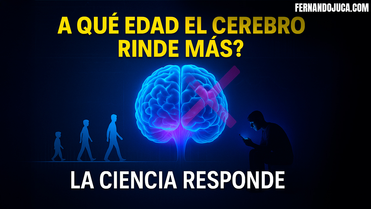 🧠 ¿A qué edad el cerebro rinde al máximo? La ciencia tiene la respuesta