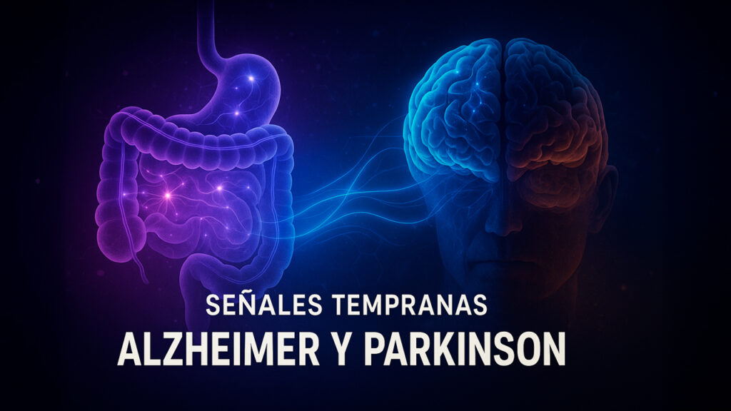 El intestino revela señales tempranas de Alzheimer y Parkinson 🧠➡️🩺
