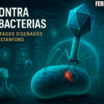 Científicos de Stanford usan IA para crear bacteriófagos que destruyen bacterias resistentes