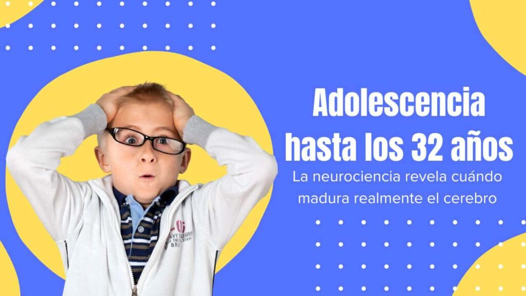 🧠 Adolescencia hasta los 32 años: la neurociencia revela cuándo madura realmente el cerebro