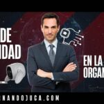 ¿Cuáles son los roles de seguridad en la organización y qué responsabilidades tienen?