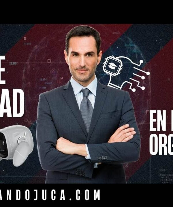 ¿Cuáles son los roles de seguridad en la organización y qué responsabilidades tienen?