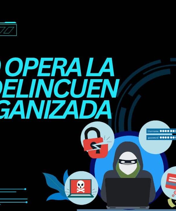 ¿Cómo opera la ciberdelincuencia organizada hoy?