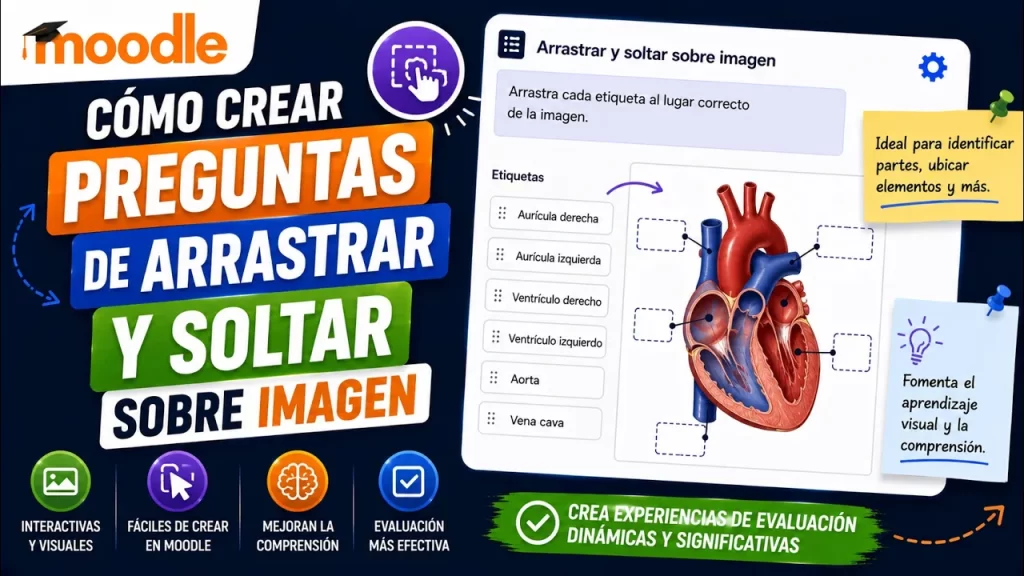 Arrastrar y soltar sobre imagen en Moodle