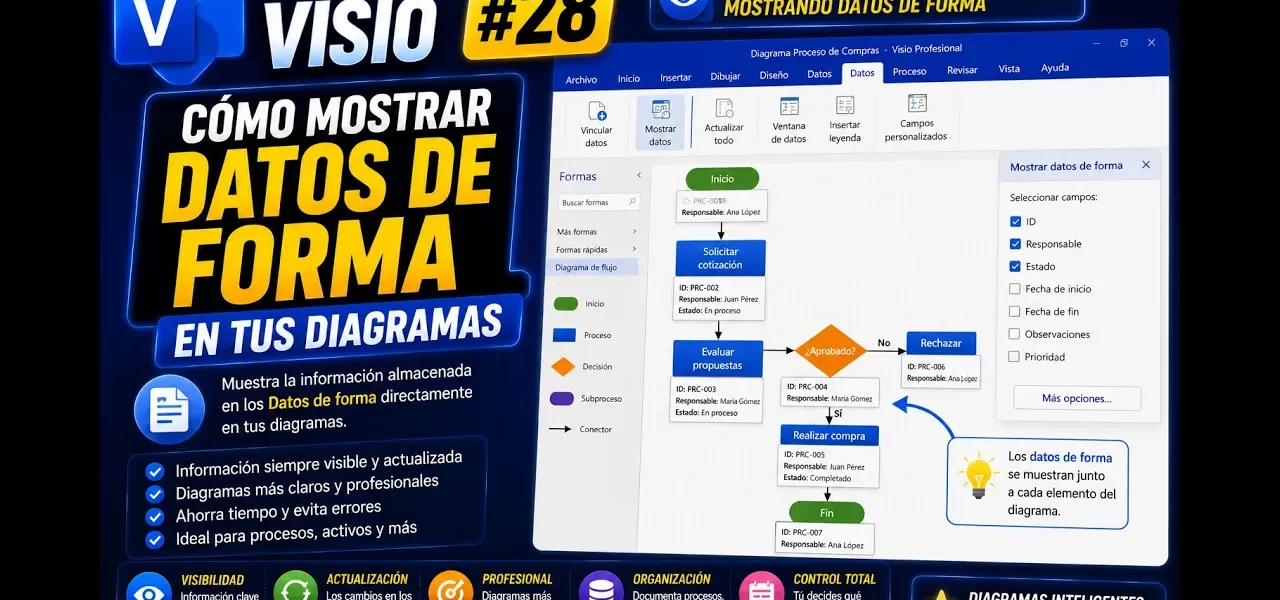 Campos personalizados en fondos de Microsoft Visio | Tema 28