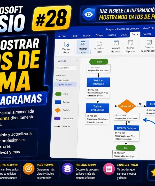 Campos personalizados en fondos de Microsoft Visio | Tema 28