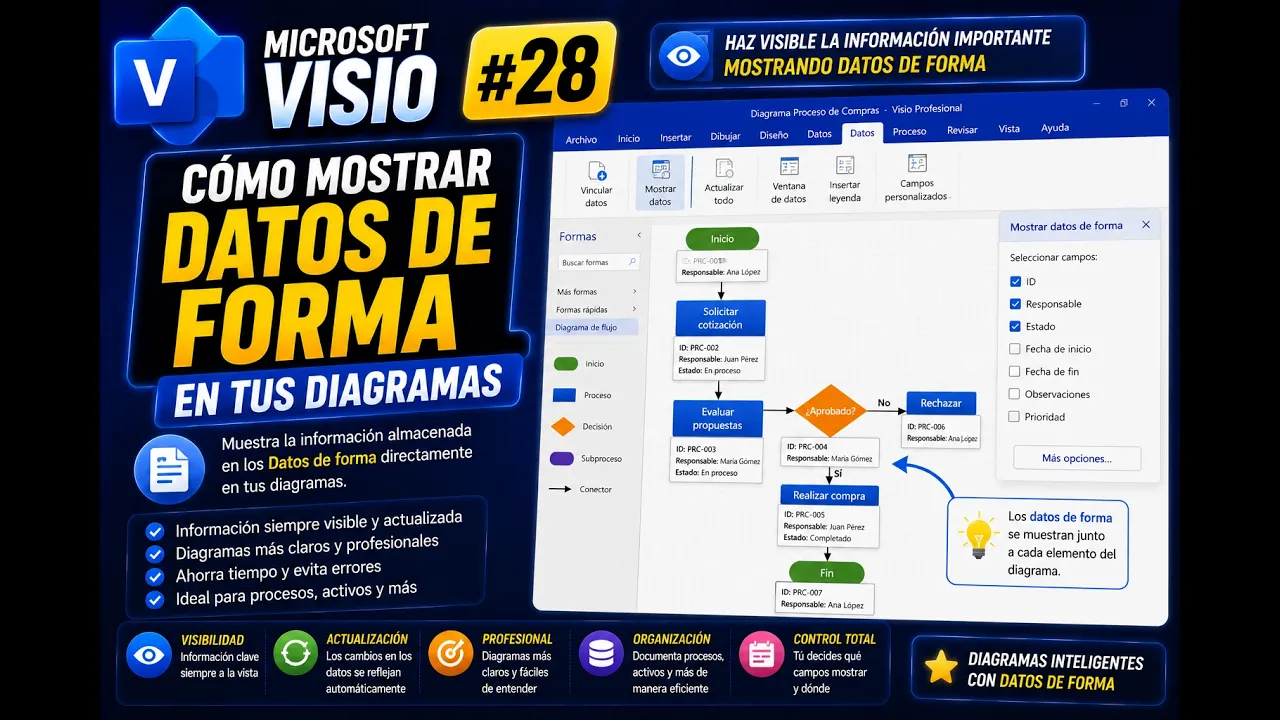 Campos personalizados en fondos de Microsoft Visio | Tema 28